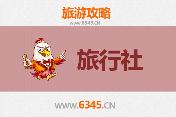 伊春新青本地旅行社推荐:解锁小兴安岭秘境的专业向导