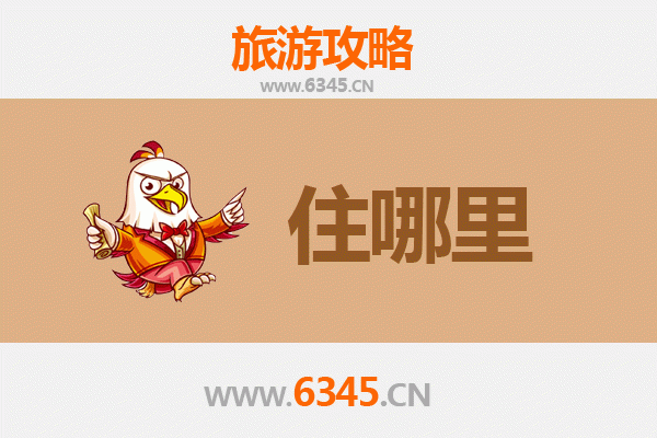 伊春新青旅游住宿全攻略：林都深处的心灵栖所