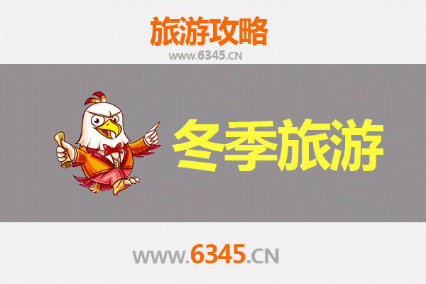 伊春新青冬季童话之旅：冰雪秘境与白头鹤的邂逅